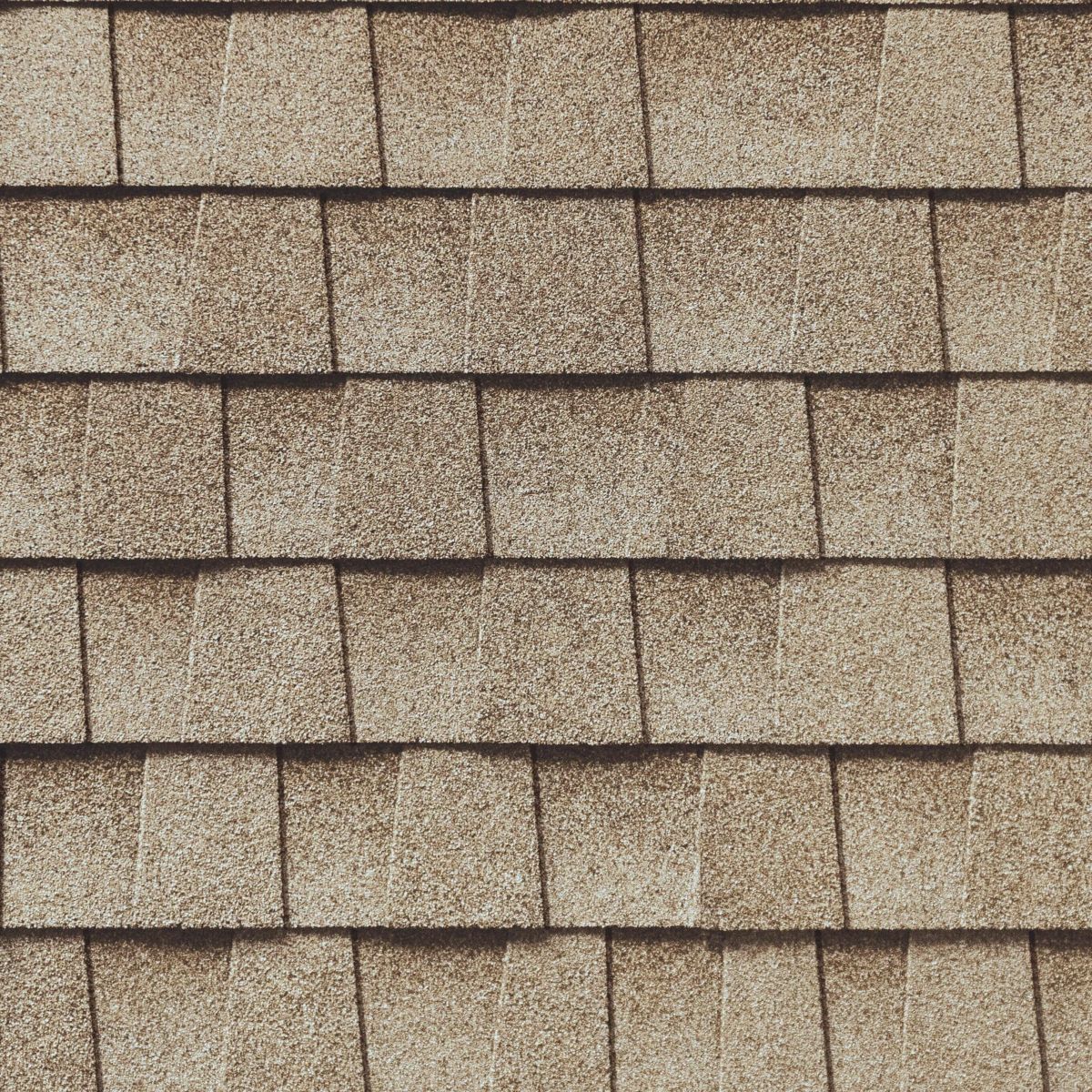EV Custom Homes & Roofing Images